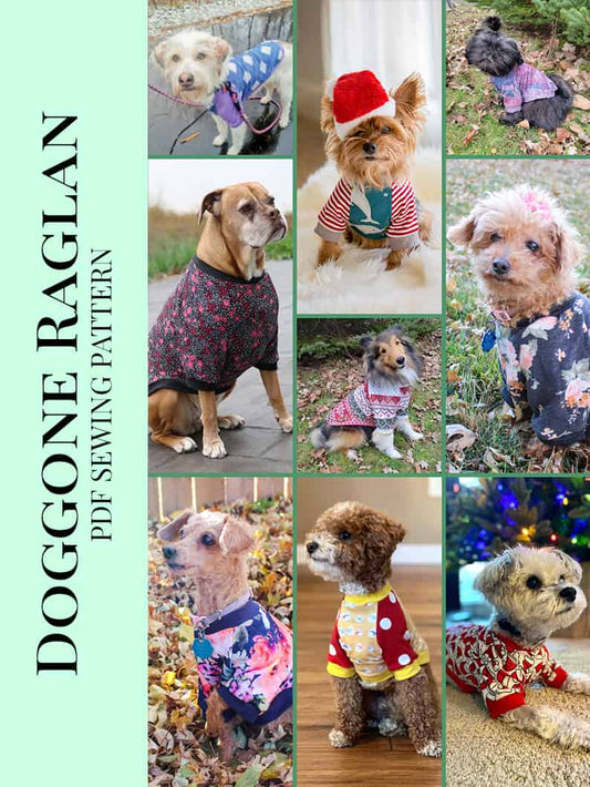 Free Doggone Raglan