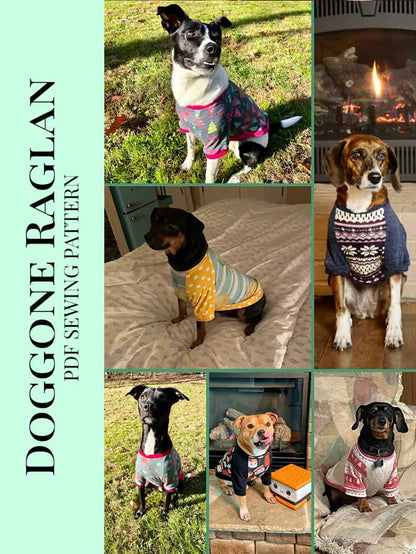 Free Doggone Raglan