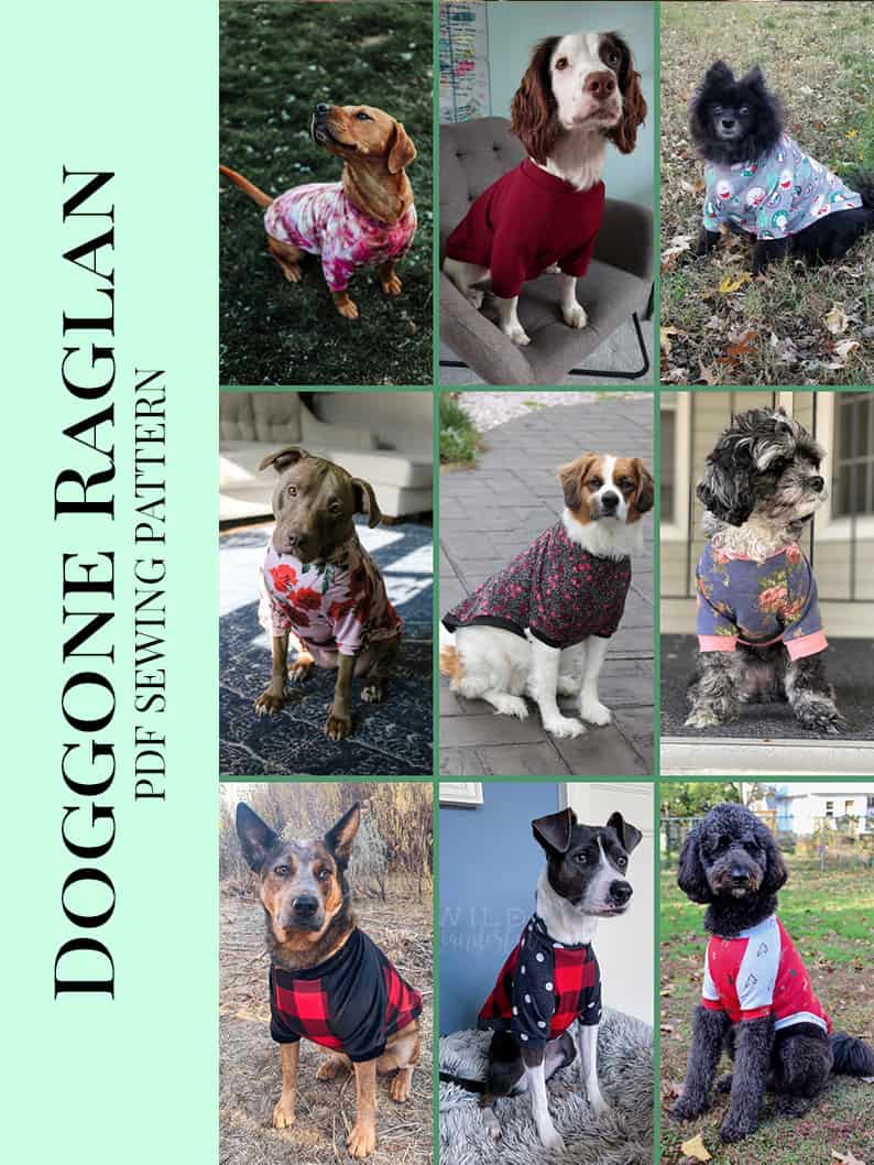 Free Doggone Raglan