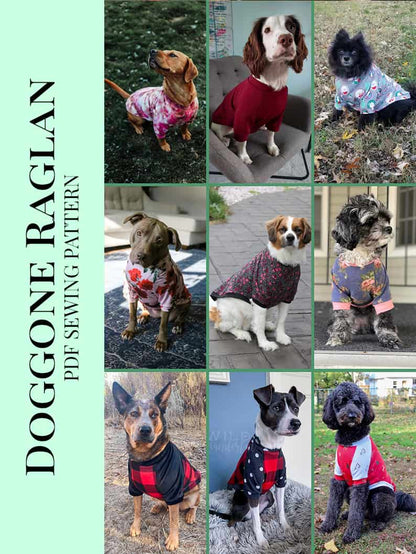 Free Doggone Raglan