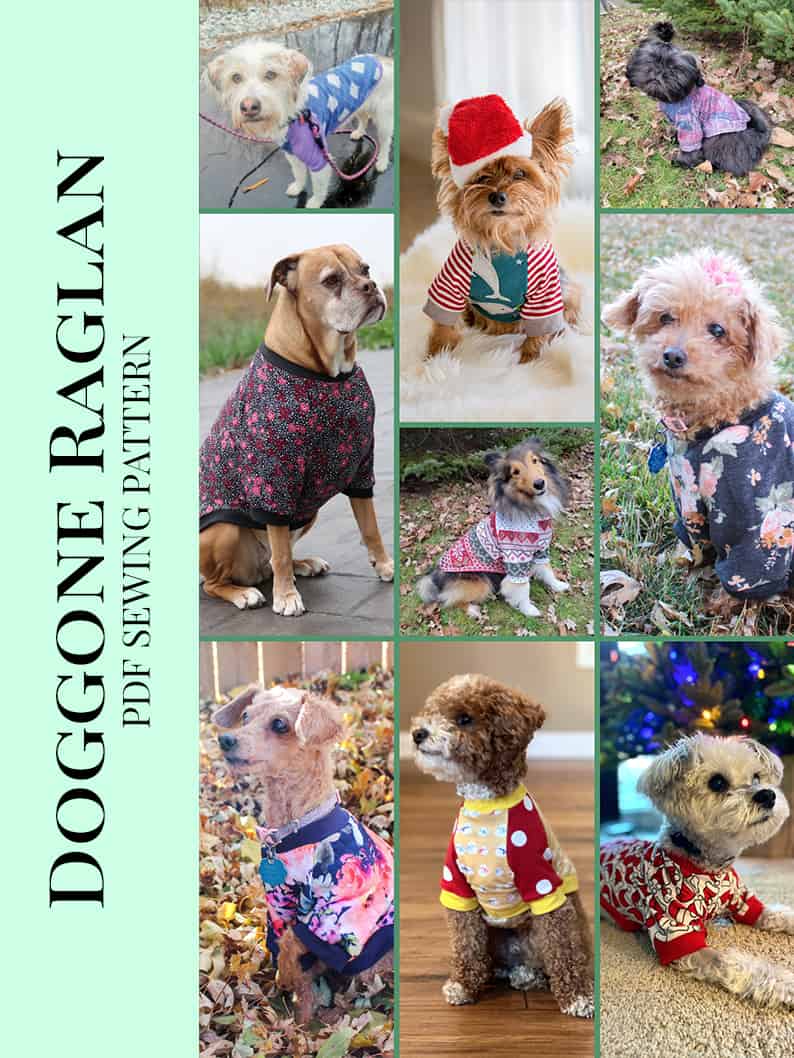 Free Doggone Raglan