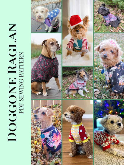 Free Doggone Raglan