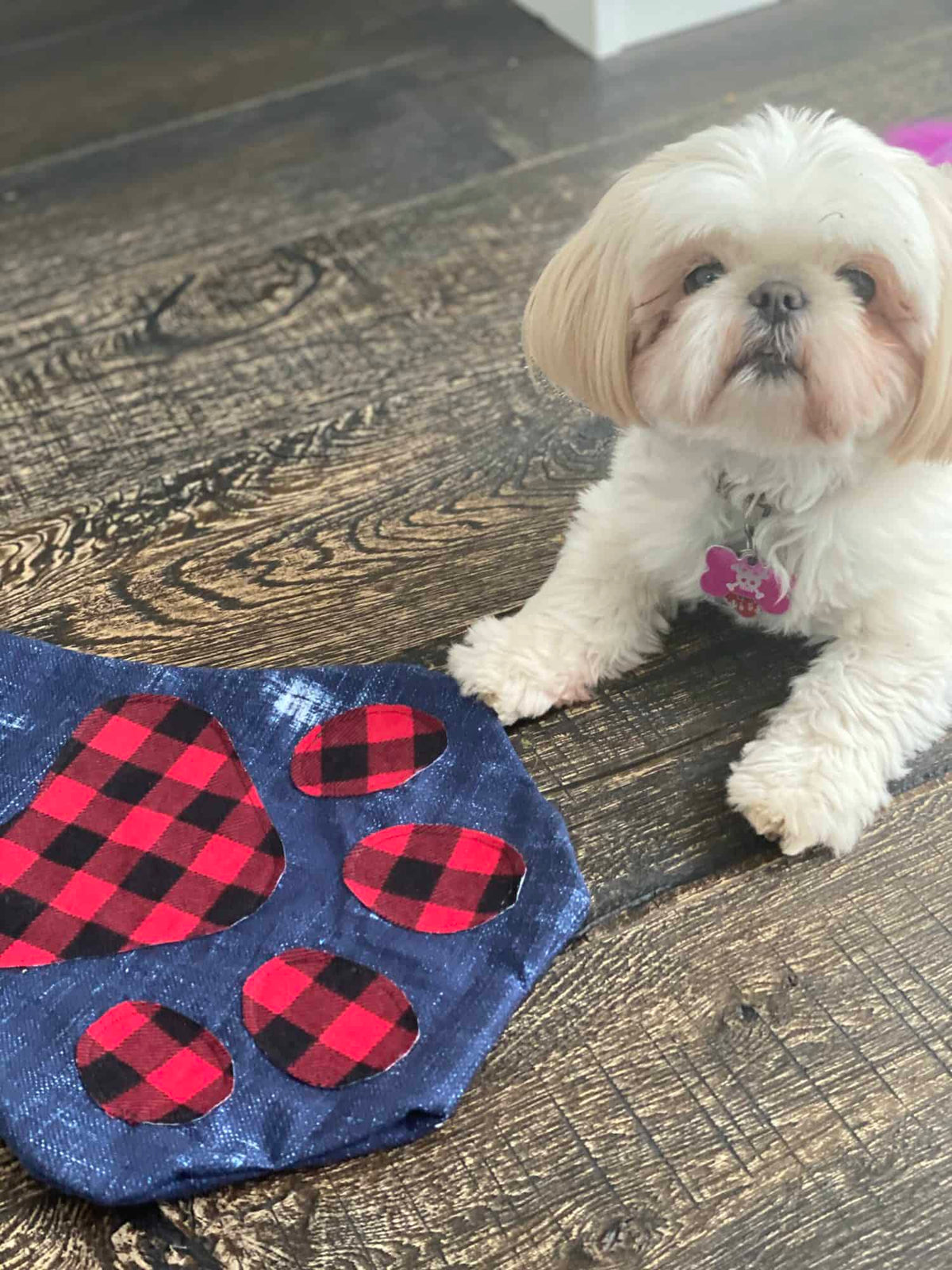 Free Paw-Fect Stocking