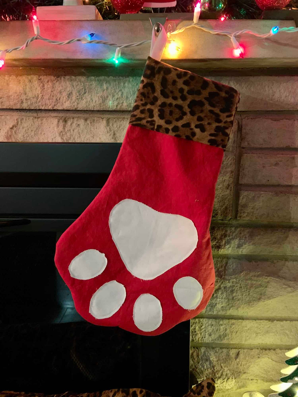 Free Paw-Fect Stocking