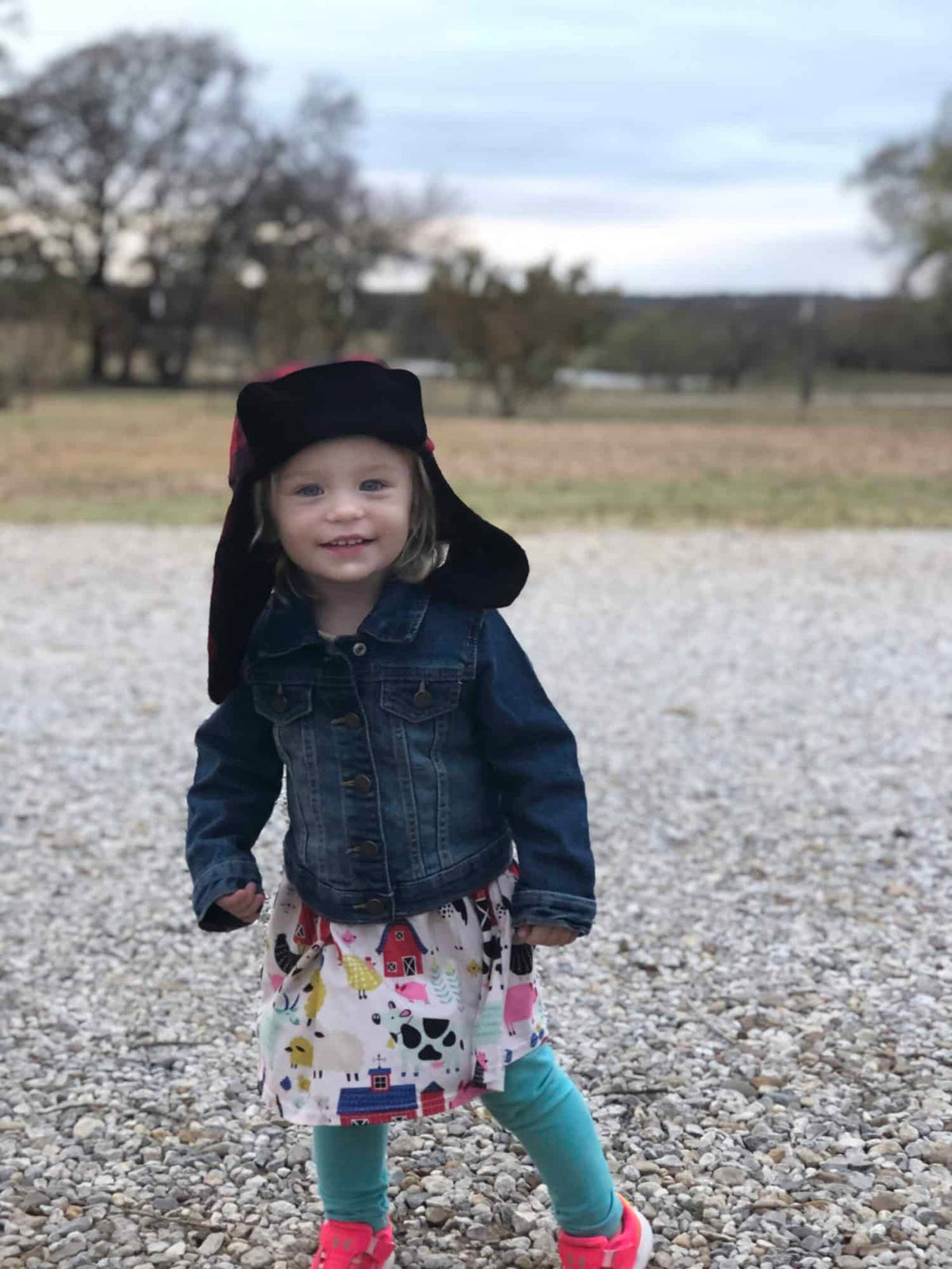 Free Hickory Hat