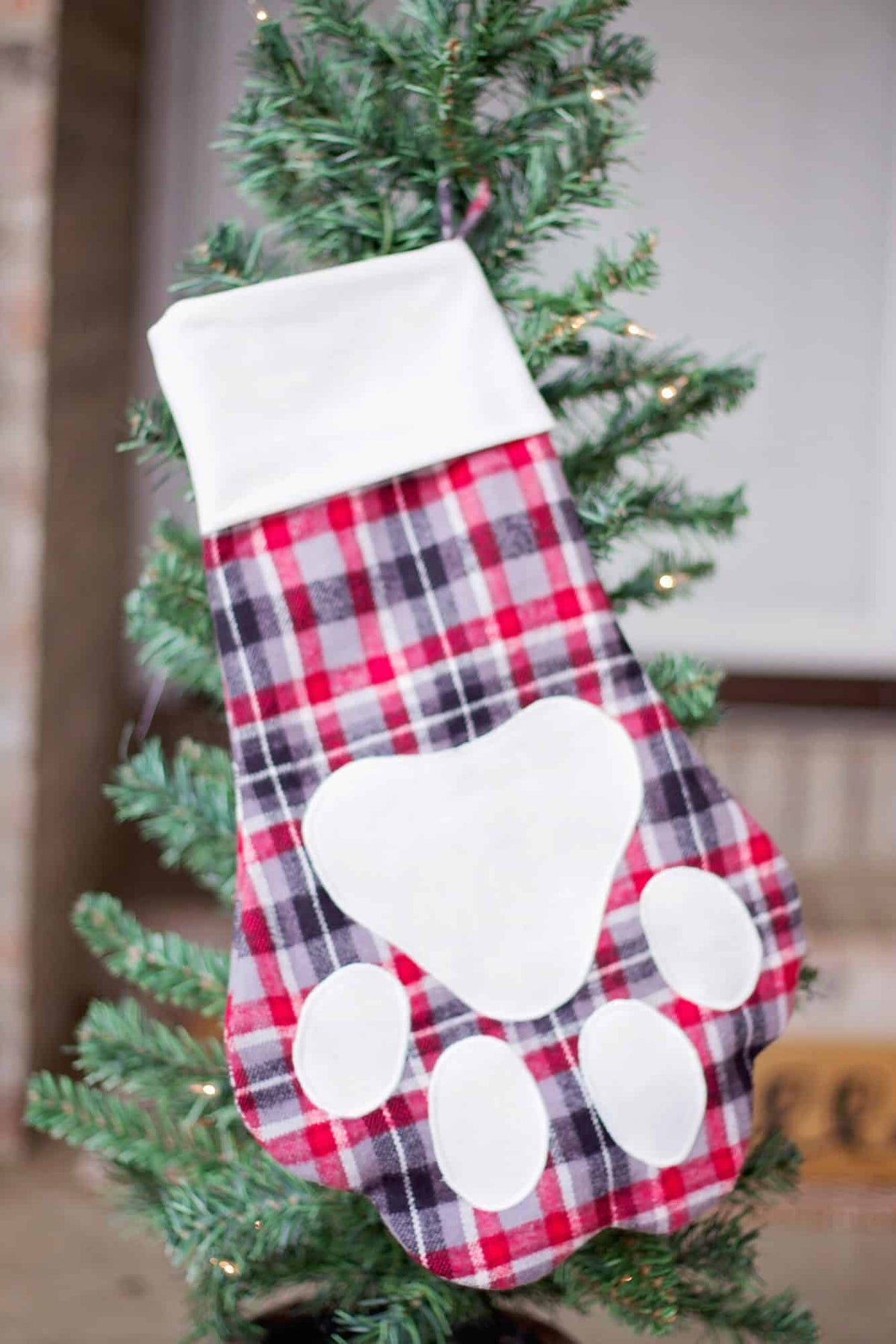 Free Paw-Fect Stocking